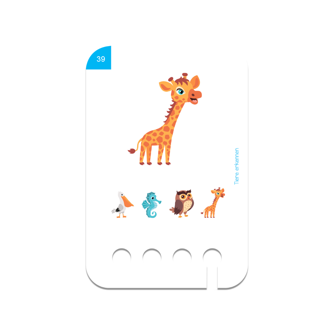 Find the Animal - Image 4