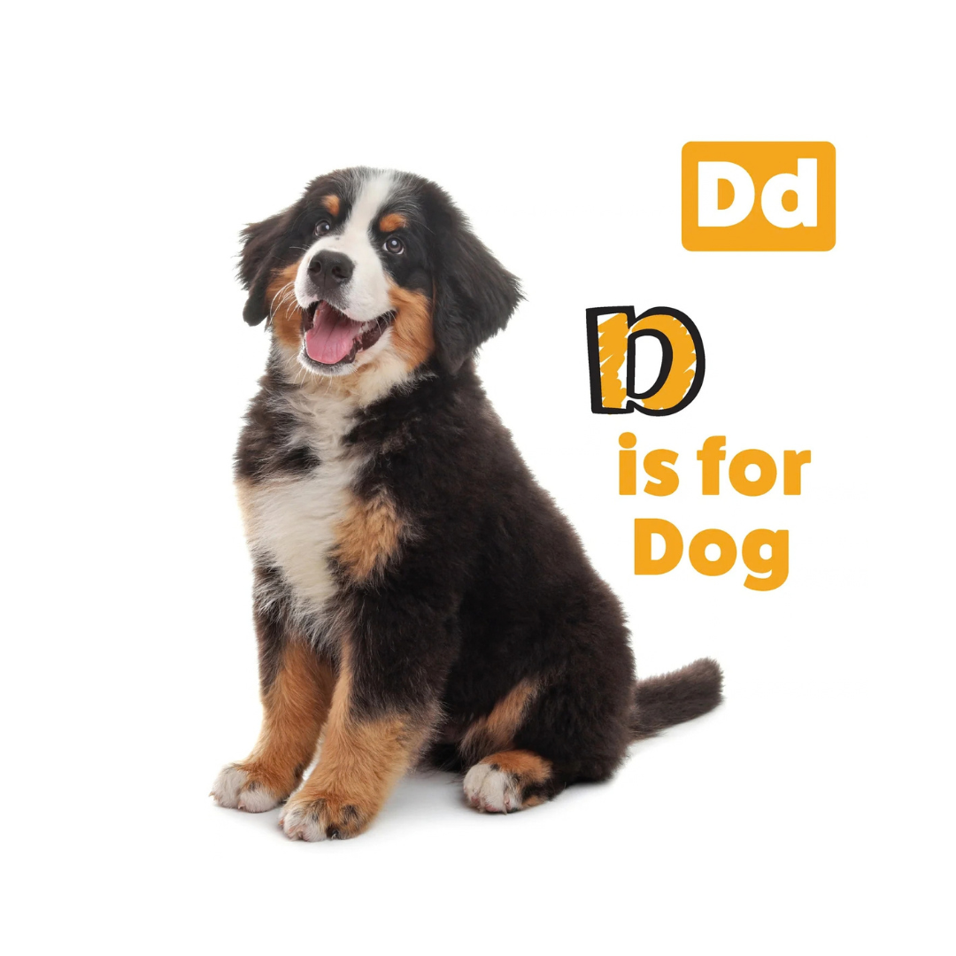 My First ABC Animal Book - Imagen 2